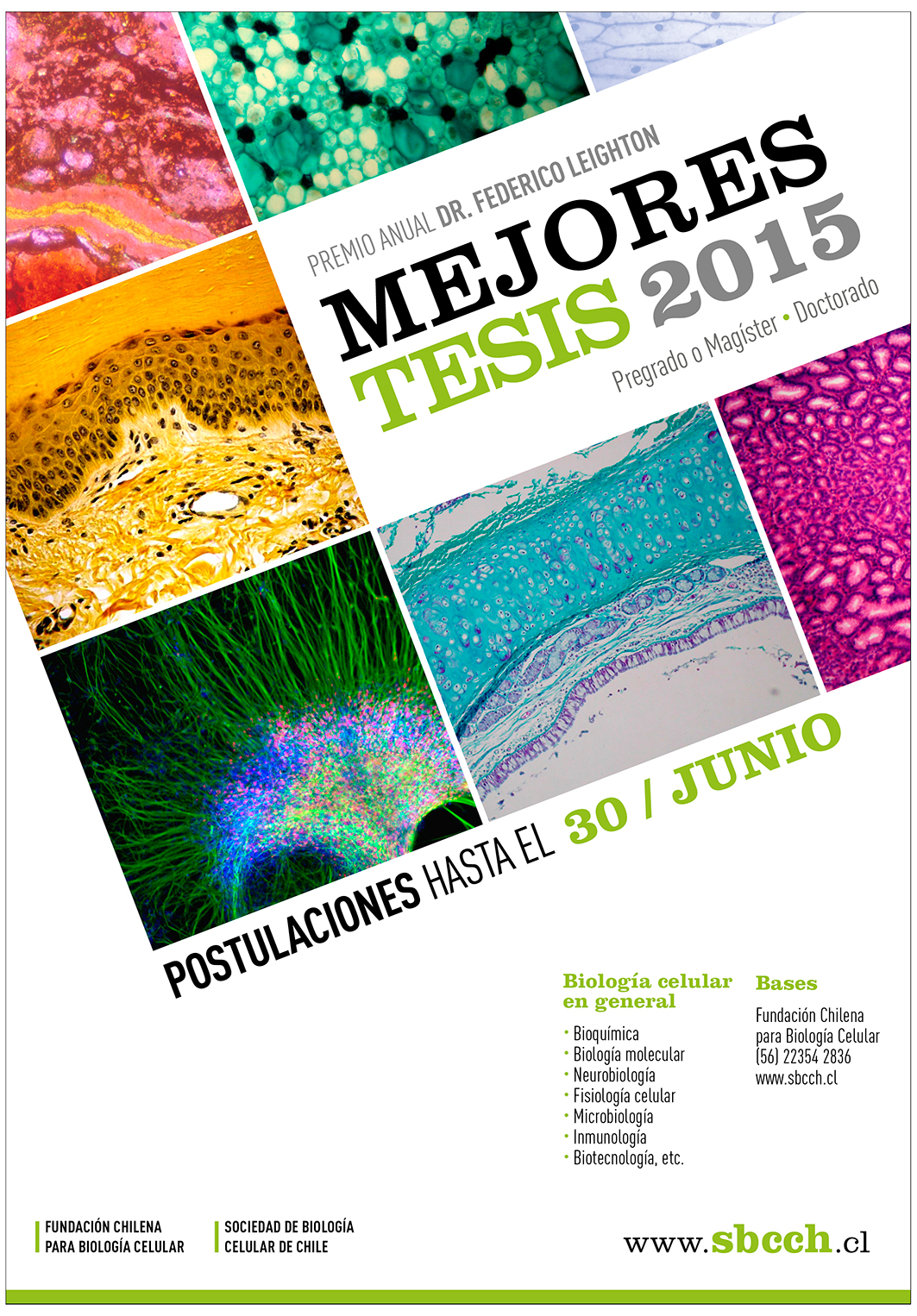 Premio Anual Dr. Federico Leighton - Mejores Tesis 2015