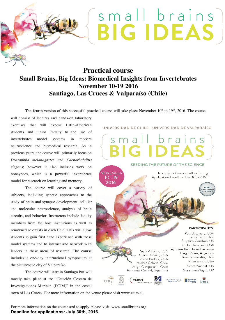 Practical Course: Small Brains Big Ideas 2016
