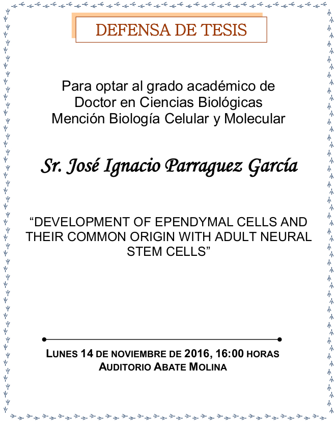 Defensa Tesis Doctoral José Ignacio Parraguez