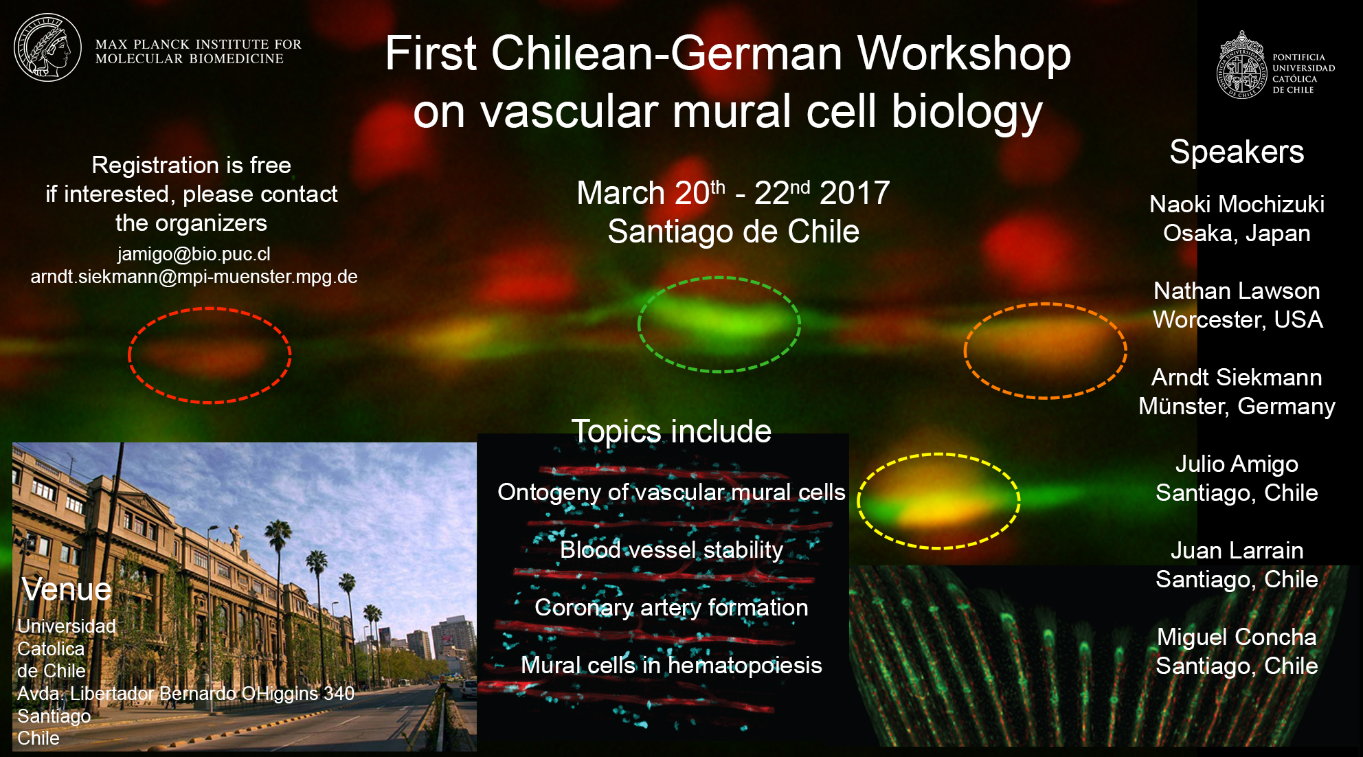 Workshop Chile-Alemania "Vascular Development, Mural Cells" 2017