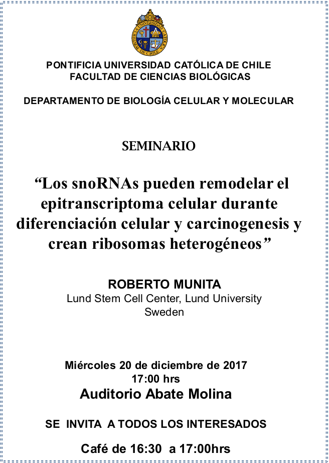 Seminario Roberto Munita 2017