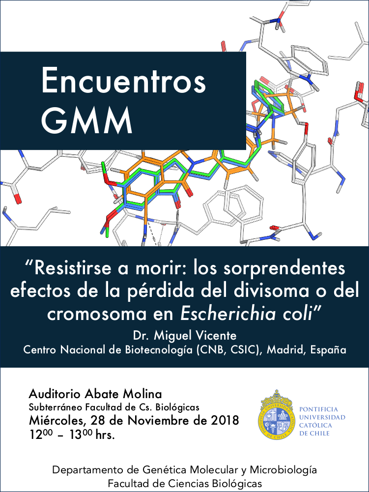 Encuentros GMM 2018-11-28
