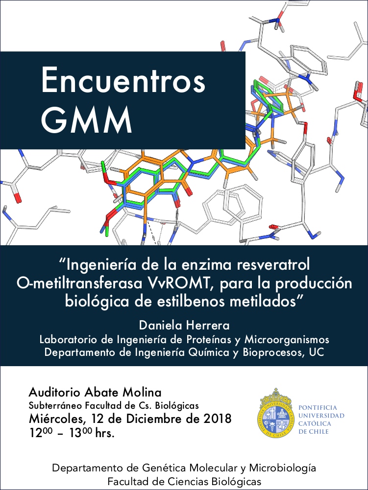 Seminario Encuentros GMM 2018-12-12