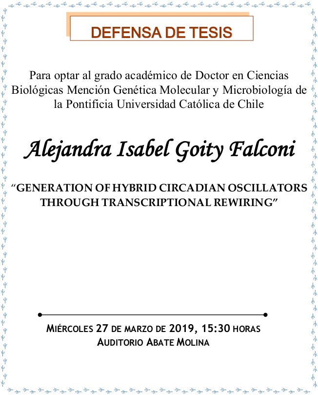Defensa de Tesis Doctoral Alejandra Goity