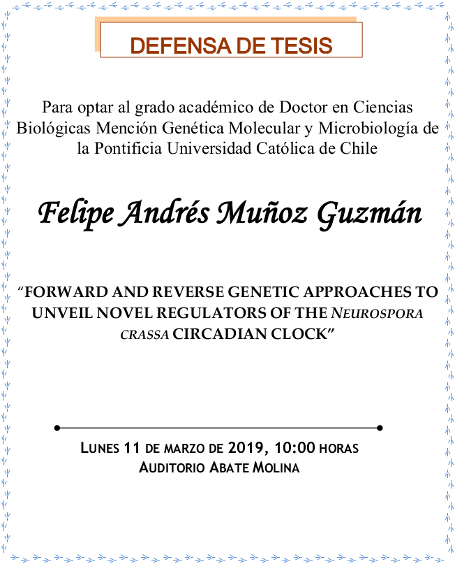 Defensa de Tesis Doctoral Felipe Muñoz