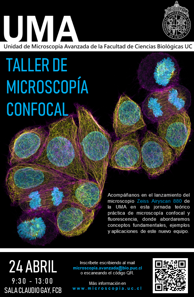 Taller de Microscopia Confocal UMA 2019