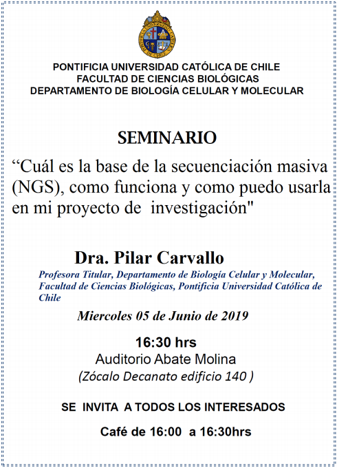 Seminario Departamental - Pilar Carvallo 2019
