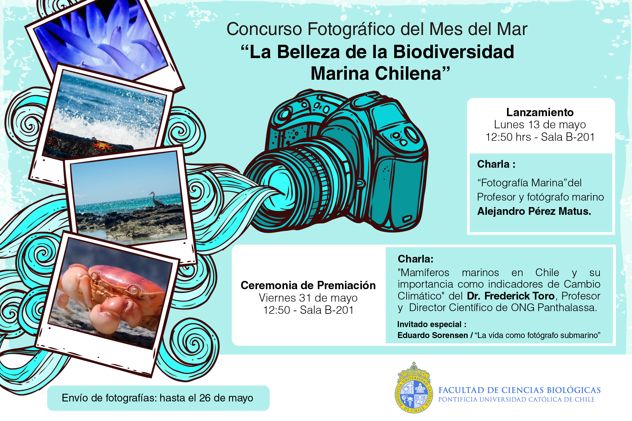 Concurso Fotográfico Mes del Mar “La Belleza de la Biodiversidad Marina Chilena”