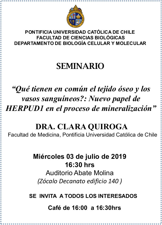 Seminario Dra. Clara Quiroga 2019