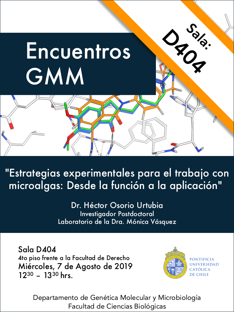 Seminario Encuentros GMM 2019-08-07