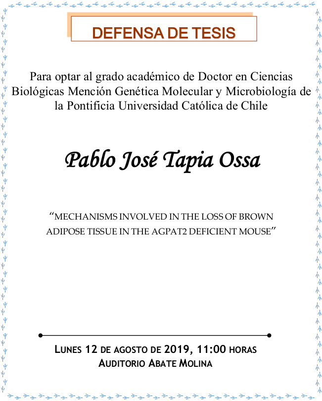 Defensa de Tesis Doctoral Pablo Tapia