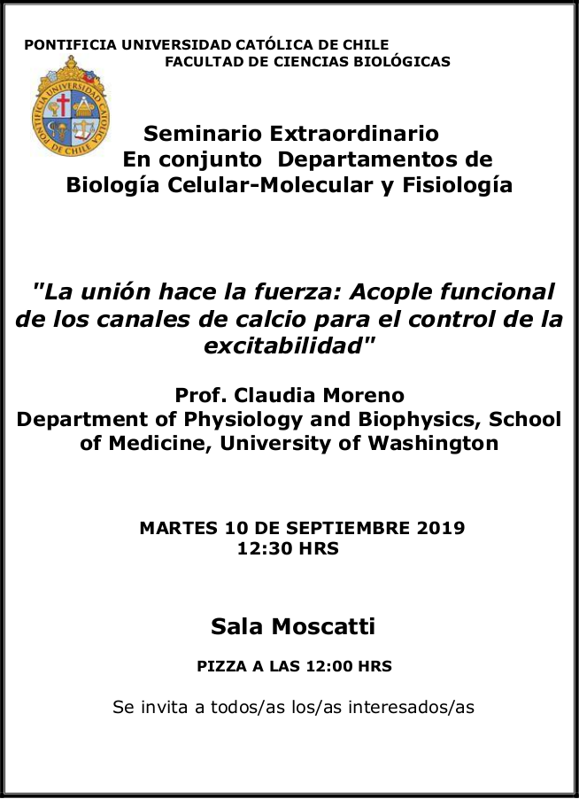Seminario Prof. Claudia Moreno 2019