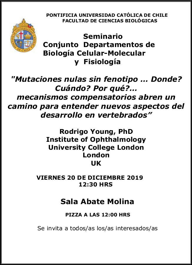 Seminario Dr. Rodrigo Young 2019