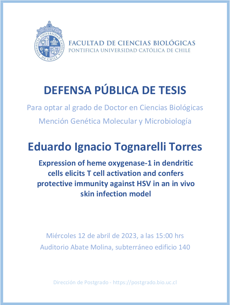 Defensa Pública de Tesis Doctoral Eduardo Tognarelli