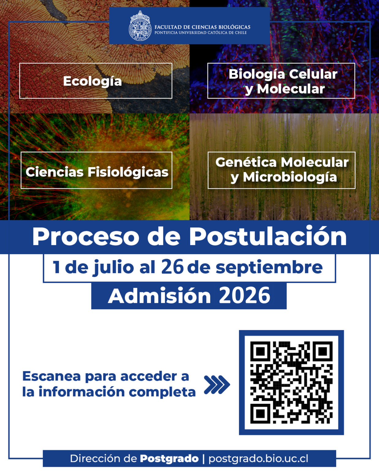 Proceso de Postulación Admisión 2026 - Doctorado en Ciencias Biológicas