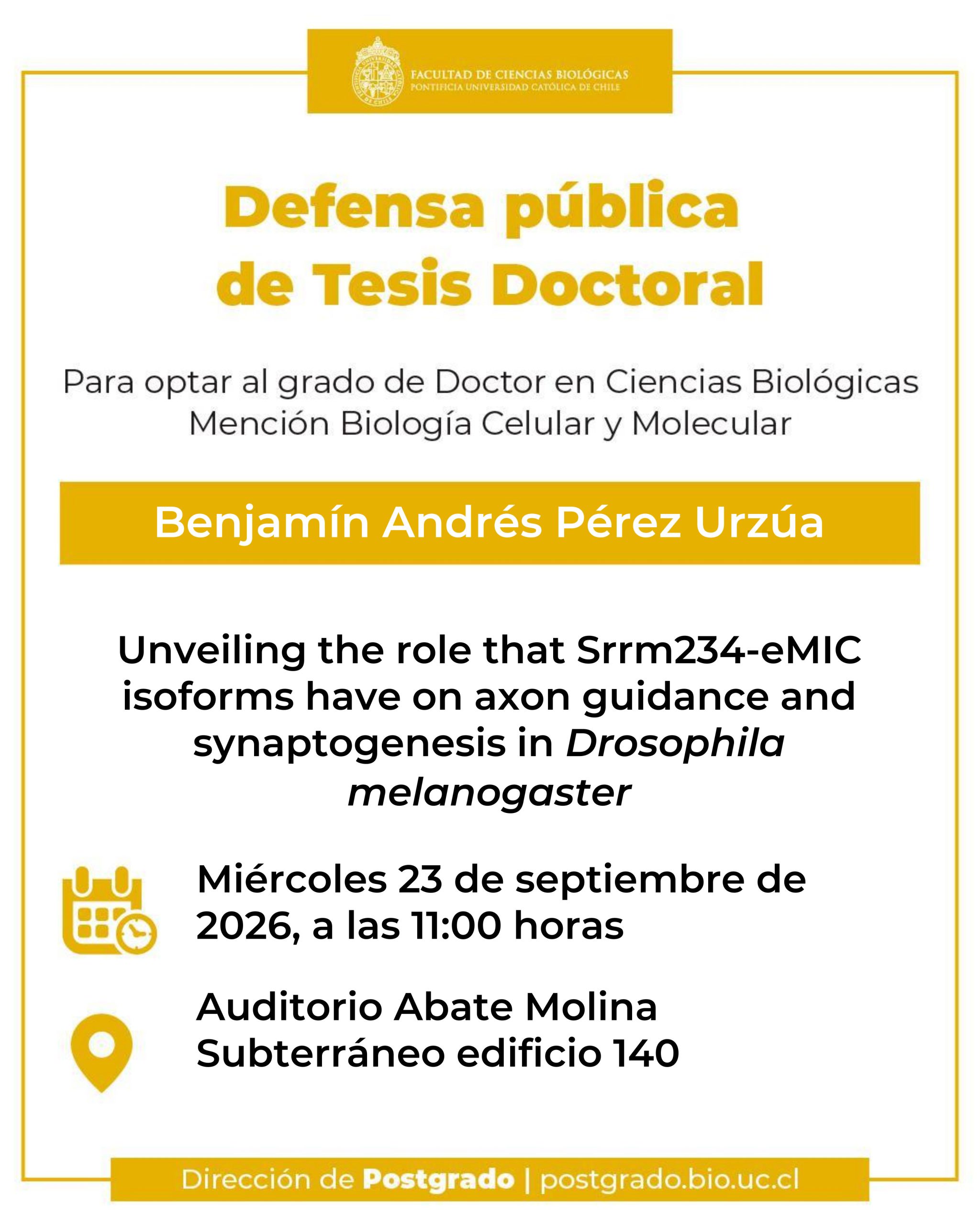 Defensa Pública de Tesis Doctoral - Benjamín Pérez